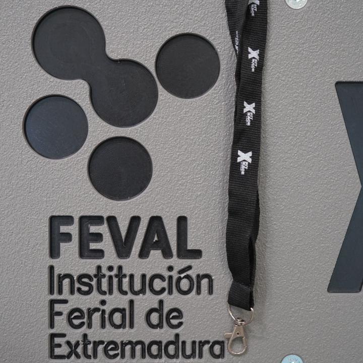 Lanyard